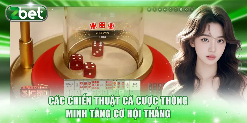 Sảnh AE Sexy ZBET: Cá Cược Cùng Dàn Mỹ Nhân Gợi Cảm 4 Các chiến thuật cá cược thông minh tăng cơ hội thắng